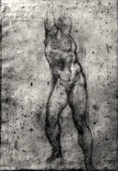 Studio di un nudo maschile